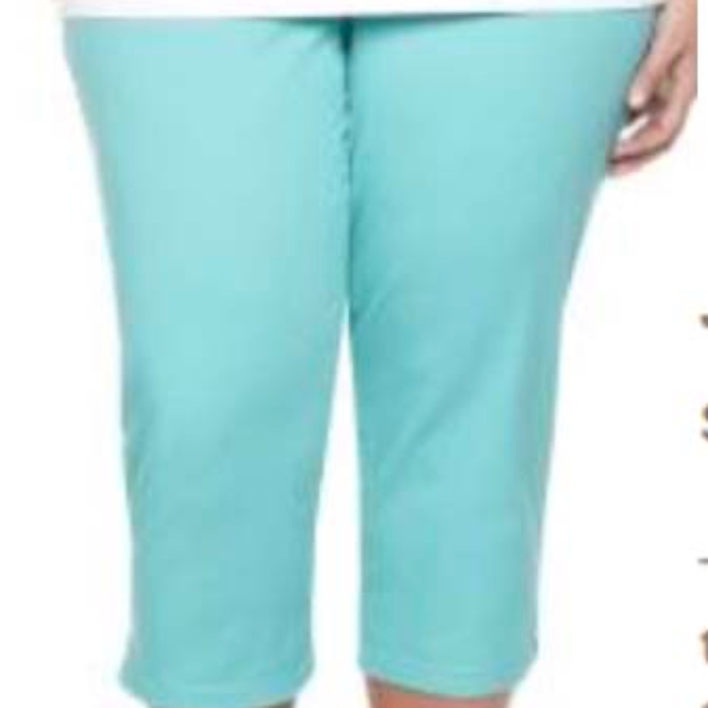 CAPRIS, JEGGING, TURQUOISE, SIZE 5X, PULL ON, 5 POCKETS, COTTON/SPANDEX, PENNING